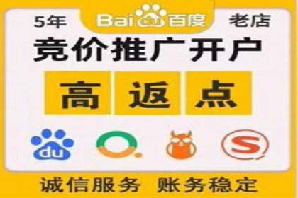 sem代运营公司案例解析：如何制定有效的广告策略